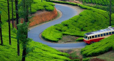 assets/images/tours/munnar.jpg